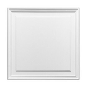 Orac Decor | High Density Polyurethane Door Panel | Primed White | 21-5/8in H x 21-5/8in W