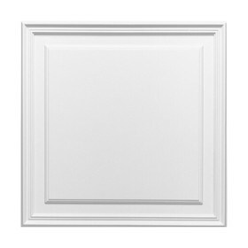 Orac Decor | High Density Polyurethane Door Panel | Primed White | 21-5/8in H x 21-5/8in W