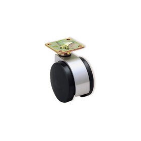 Caster with Plate