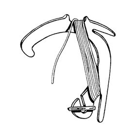 Universal Plastic Ceiling Hook