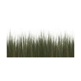 4ft H | Dune Grass | Translucent Panel