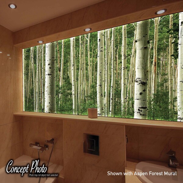 48" x 96" Slim Frame Kit