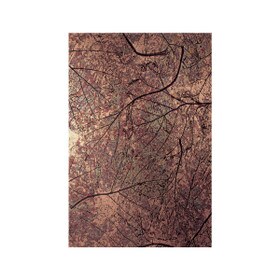 4' High x 8' Wide - .050" Thick Patina Autum Leaves Unique Art MetLam Sheet