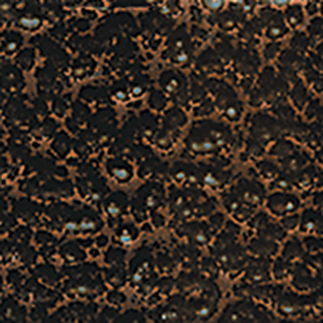 Classic Powder Coated Baluster PCB-239 Series