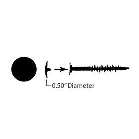 Standard Screw Cover Cap for Phillips or Posi-Drive